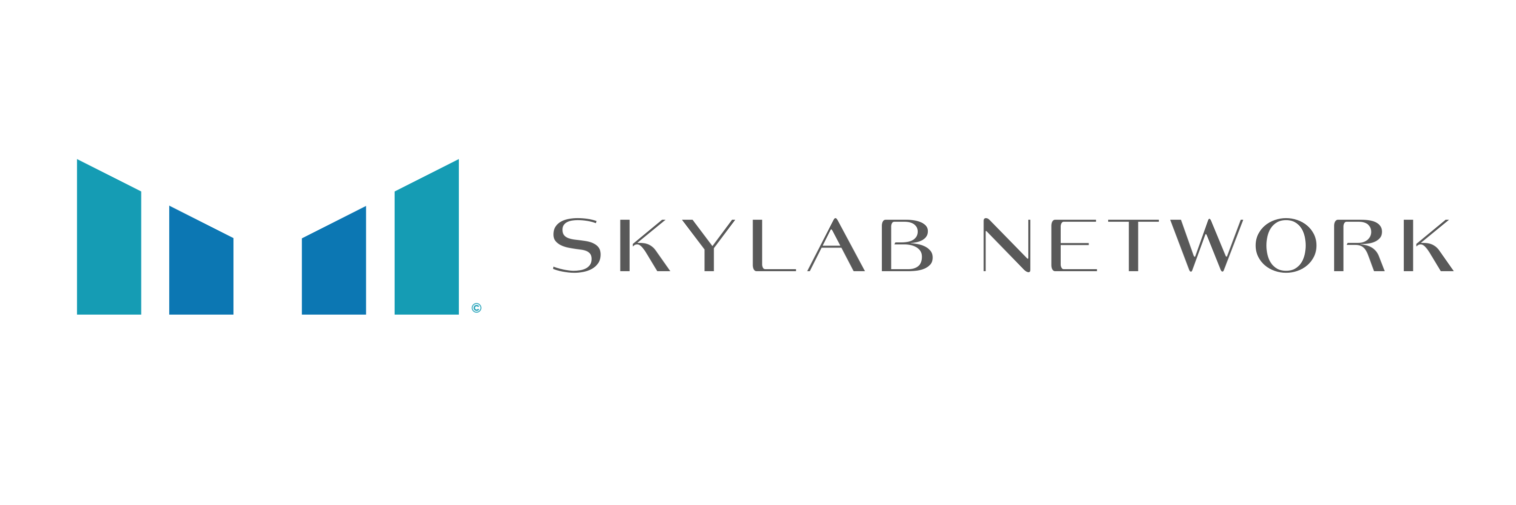 SKYLAB NETWORK